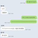 교수님 잘 지내시죠 저는 씨네필이 되었습니다