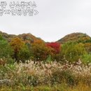 행복한충전소 이미지