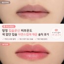 용머리길 | [아산/탕정] 탕정 입술 문신 피부온도, 색 없던 입술 자연스럽게 채운 솔직 후기