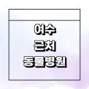 소앤소동물병원(출장전문) | 여수시 근처 동물병원 잘하는곳 추천 정보 토요일 일요일 24시간 중성화 수술 강아지 후기