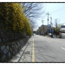 수원-0989 이미지