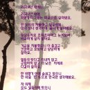 창조크린 이미지