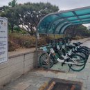 타랑 이미지