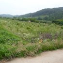 효선보건진료소 이미지