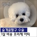 아띠동물의료센터 이미지