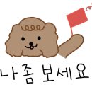 박시현헤어 이미지
