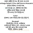 보테가비노