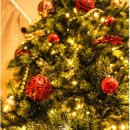 머슬 마인드 PT & 헬스 영등포구청점 이미지