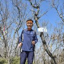 산과 바보 이미지