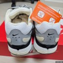 6603 | 나이키 러닝화 P-6000 FV6603-100 코코넛 밀크 내돈내산 구입 후기