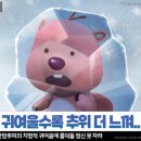 다가짐
