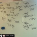 아울콜렉티브