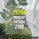 럭키장식 | 연리재 프리미엄 테라리움 리뷰 수공예 유리돔부터 럭키참까지 직접 만든 후기!