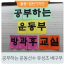유성초등학교 이미지