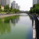 아라마루 카페 이미지