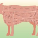 한우회관 이미지