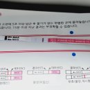 강남진의원 | 둘째 난임일기 시험관아기시술/신선4차,동결4차,신선5차 강남역 베오미 진료후기