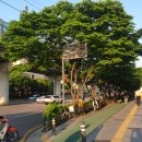 건대 포켓볼 락큐 이미지