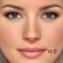 비주