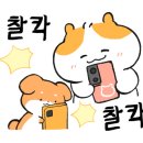 모멘트커피 이미지