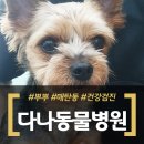 다나 동물병원 이미지