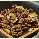 씨트루스 이미지