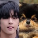 태형 이미지