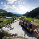 비단골관광농원 이미지