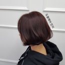 도블헤어 이미지