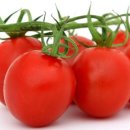 화천농장 이미지