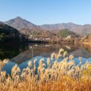 약목평생학습복지센터 이미지