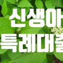 황금탑공인중개사사무소 이미지
