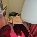 남성역 정형외과 성모탑 발목 통증 소리 및 소아 물리치료 주말 후기