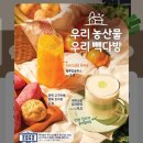 빽다방 메뉴 가격 신상 음료 제주감귤주스 디저트 쫀득 감자빵 칼로리 겨울 신메뉴 추천 후기