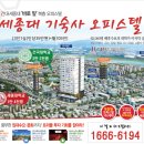 디펠리체 Daum카페