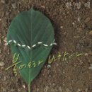 포크기타(야간) 이미지