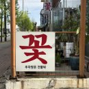 [전주꽃집] 전주 인후동 꽃집 : 하늘꽃화원 꽃다발 후기