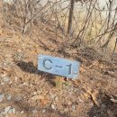 [용봉산캠핑장] 홍성 캠핑장 C1 명당 후기