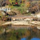 동화사 | 대구 동화사 단풍 명소 Ι 팔공산 사찰 풍경 후기