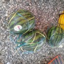 그린오토 이미지