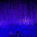 포토이즘에스 | [6/27일-9/27일] 귀멸의 칼날 전시 - 전집중展 | 솔직후기