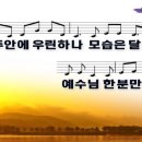 바라안 이미지