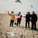 영동초교 이미지