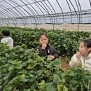 전대초등학교 이미지