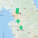 도그마루 강아지고양이 서초강남점 이미지