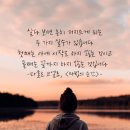 - 파울로 코엘료 - 이미지