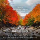 *****제주도 단풍-억새 2박3일*****24년 11월1일(금)-11월3일(일) 이미지