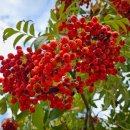 정시은부동산공인중개사사무소 이미지