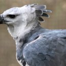 제일수퍼 이미지