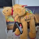 삼보사 | [신혼여행 두바이&amp;몰디브] 두바이 1일차 오전(올드타운, 아라비안티하우스, 샤프란 구매, 점심 샤와르마...